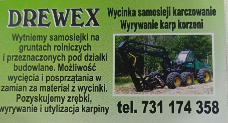 Wycinka samosiejki karczowanie Drewex